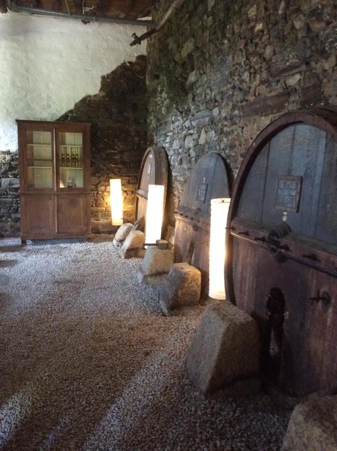 Quinta Do Fojo Bed & Breakfast Lamego Exterior foto