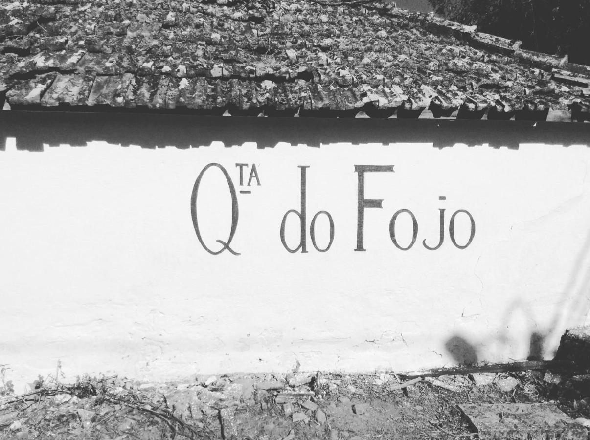 Quinta Do Fojo Bed & Breakfast Lamego Exterior foto