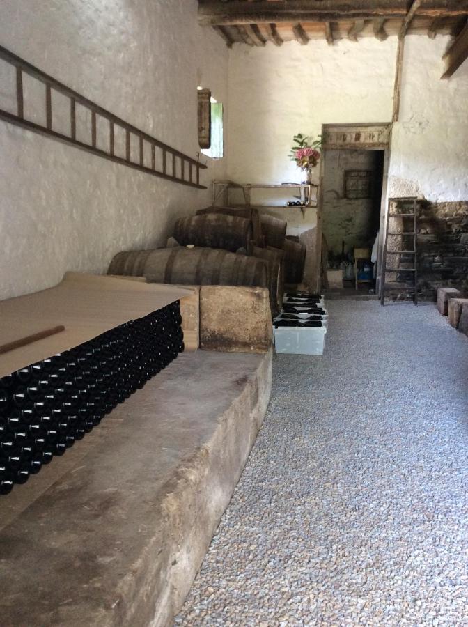 Quinta Do Fojo Bed & Breakfast Lamego Exterior foto