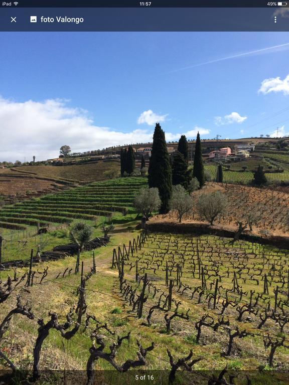 Quinta Do Fojo Bed & Breakfast Lamego Exterior foto