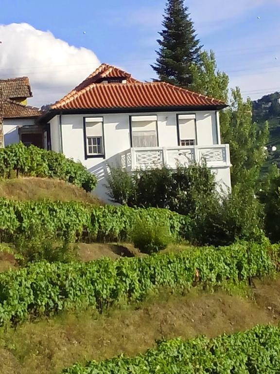 Quinta Do Fojo Bed & Breakfast Lamego Exterior foto