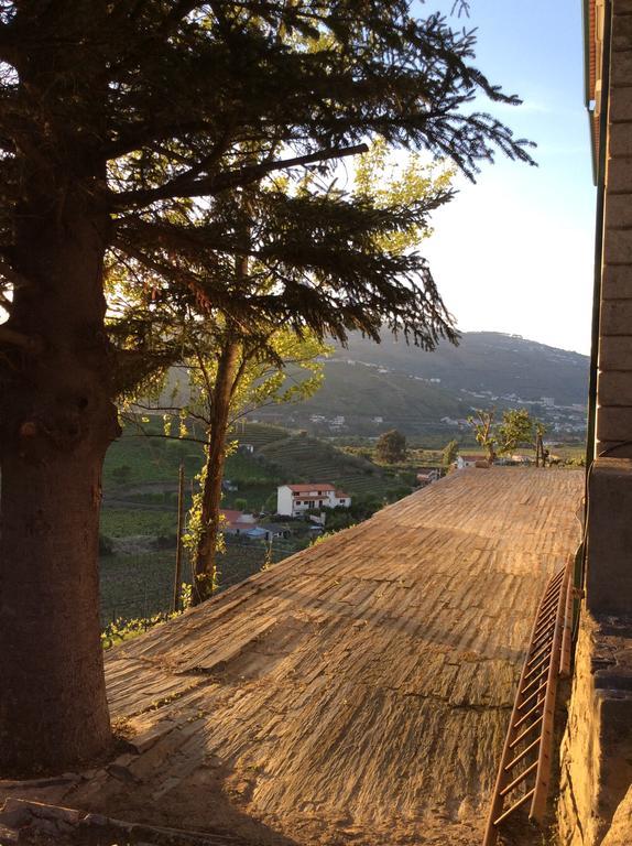 Quinta Do Fojo Bed & Breakfast Lamego Exterior foto