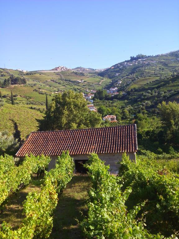 Quinta Do Fojo Bed & Breakfast Lamego Exterior foto