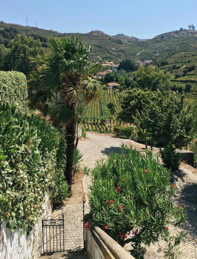 Quinta Do Fojo Bed & Breakfast Lamego Exterior foto